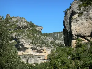 塞文山脉国家公园 - Gorges du Tarn：Cirque des Baumes的悬崖