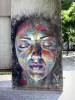 塞纳河畔维特里的街头艺术 - 街头艺术作品