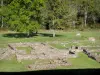 塩の噴水の考古学的なサイト