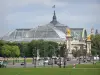 大皇宫 - 大皇宫的玻璃屋顶和Esplanade des Invalides的Alexandre III大桥雕塑的视图