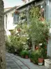奥地 - Aspremontでは、植物と花で飾られた路地