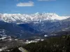 奥地 - 一番上の国：森、雪をかぶった山々（雪）