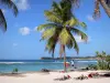 安斯·贝特朗· - Plage de la Chapelle棕榈树，白色沙滩，加勒比海和Anse-Bertrand村的景色;在Grande-Terre岛上