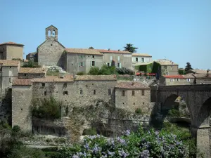 密涅瓦 - 教堂和房子的村庄，桥梁，灌木盛开，在Haut-Languedoc区域自然公园