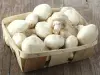 巴黎的蘑菇 - 美食指南、度假及周末游曼恩-卢瓦尔省
