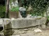 布吉尼翁苏蒙巴万 - 喷泉