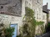 布吕尼屈厄 - 中世纪村庄及其石头房屋外墙装饰着攀缘植物