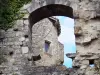 布吕尼屈厄 - 遗迹和老城堡塔