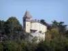 布拉萨克城堡 - 绿叶包围的堡垒的看法