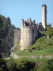布洛涅城堡 - 绿叶包围的中世纪城堡废墟