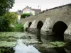 布西圣昂图瓦恩 - 跨过河Yerres的老桥梁