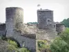 布鲁斯莱沙托 - 布鲁斯城堡