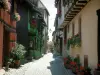 希克维尔 - 铺有鹅卵石铺成的小巷，半木结构的房屋装饰着鲜花
