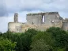库西堡 - 欧夫里克 - Coucy（中世纪堡垒）和绿叶封建城堡的遗骸
