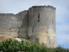 库西堡 - 欧夫里克 - Coucy（中世纪堡垒）封建城堡的遗迹
