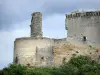 库西堡 - 欧夫里克 - Coucy（中世纪堡垒）封建城堡的遗迹