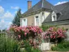 庞塞河畔乐卢瓦尔 - 村屋及其锻铁花园围栏装饰着盛开的玫瑰玫瑰（玫瑰）