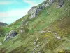康塔尔山脉 - 奥弗涅火山区域自然公园：一群绵羊在山坡上