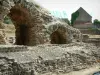 德勒旺 - 古代遗址：高卢罗马时代的遗迹