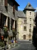 德斯坦 - 用鲜花装饰的房子的门面，酒店Cayron住房市政厅和中世纪城市的街道