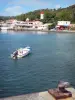 德赛 - 在水的浮动小船以Deshaies江边为目的