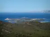 恩比兹群岛 - 森林在前景俯瞰Embiez群岛，地中海，海岸线和山丘