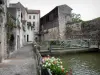 悲 - Tanners运河上的人行天桥，沿着水漫步，在老城区用鲜花和房屋装饰的栏杆