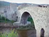 拉格拉斯 - 横跨Orbieu河的老桥;在Corbières