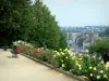 拉瓦尔 - Perrine花园盛开的玫瑰，可以看到城市的屋顶和Mayenne的高架桥