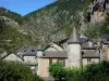拉马莱讷 - 城堡（Montesquiou庄园）和Barre岩石脚下村庄的房屋;位于Cévennes国家公园的Gorges du Tarn中心
