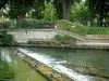拉 - 索尔居厄河畔利斯勒 - Sorgue（河）与鸭子，公园和树木在背景中