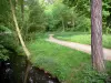 文生之木 - 沿着树木林立的小溪漫步