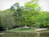 文生之木 - Daumesnil湖被树木包围