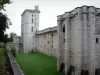 文生城堡 - 塔楼和城墙