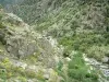 斯卡拉迪圣里贾纳 - 峡谷：岩石般的花岗岩，野花，植被，树木和河流（Golo）