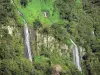 新娘的面纱的级联 - 留尼旺国家公园 -  Cirque de Salazie：新娘的面纱瀑布在绿色环境中