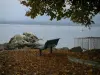 日内瓦湖 - 树枝，枯叶，长凳，钓鱼用具，岩石和湖的分支
