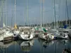 日内瓦湖 - Thonon-les-Bains码头的帆船
