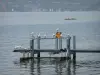 日内瓦湖 - 在浮船和湖的海鸥