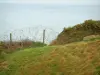 普恩特杜霍克 - 着陆点：海景牧草和铁丝网（La Manche）