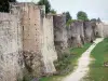 普罗 - 上城的防御工事（中世纪防御工事）：城墙和塔楼;城墙漫步