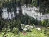 杜布斯峡谷 - 悬崖（岩壁），树木和河流杜布