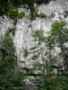 杜布斯峡谷 - 悬崖（岩壁），河杜河和树木