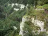 杜布斯峡谷 - 下面是悬崖（岩壁），树木和河流Doubs