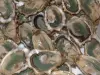 来自Marennes-Oléron的牡蛎 - 美食指南、度假及周末游滨海夏朗德省