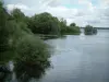 東洋の森の五大湖 - 東方林の湖: 水生植物や木々、空に浮かぶ雲のあるオリエント湖の鳥類保護区（Forêtd'Orient地域自然公園）