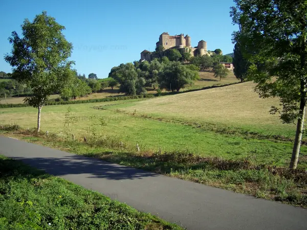 林荫道 - Voie Verte（旧铁路线）的自行车道，享有Berzé-le-Châtel城堡，树木和草地的景色