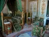 枫丹白露城堡 - 枫丹白露宫的内部：皇帝的内部公寓：皇帝的房间