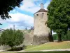 查斯特卢城堡 - 圣让塔和树木繁茂的公园