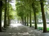 格子棉布 - Parc des Sources：胡同两旁种满树木和长凳